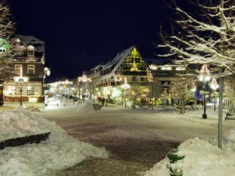 Stadtwohnung Schneeflocke Winterberg Extérieur photo